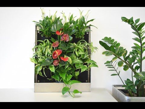 Living Jardinière Vertikaler Wandpflanzkasten – 1x1 M, 24 Taschen, Für Außenbereich, Grün